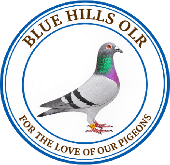 Blue Hills One Loft Race logo