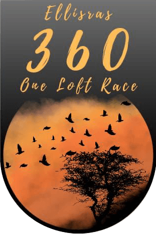 Ellisras 360 One Loft Race logo
