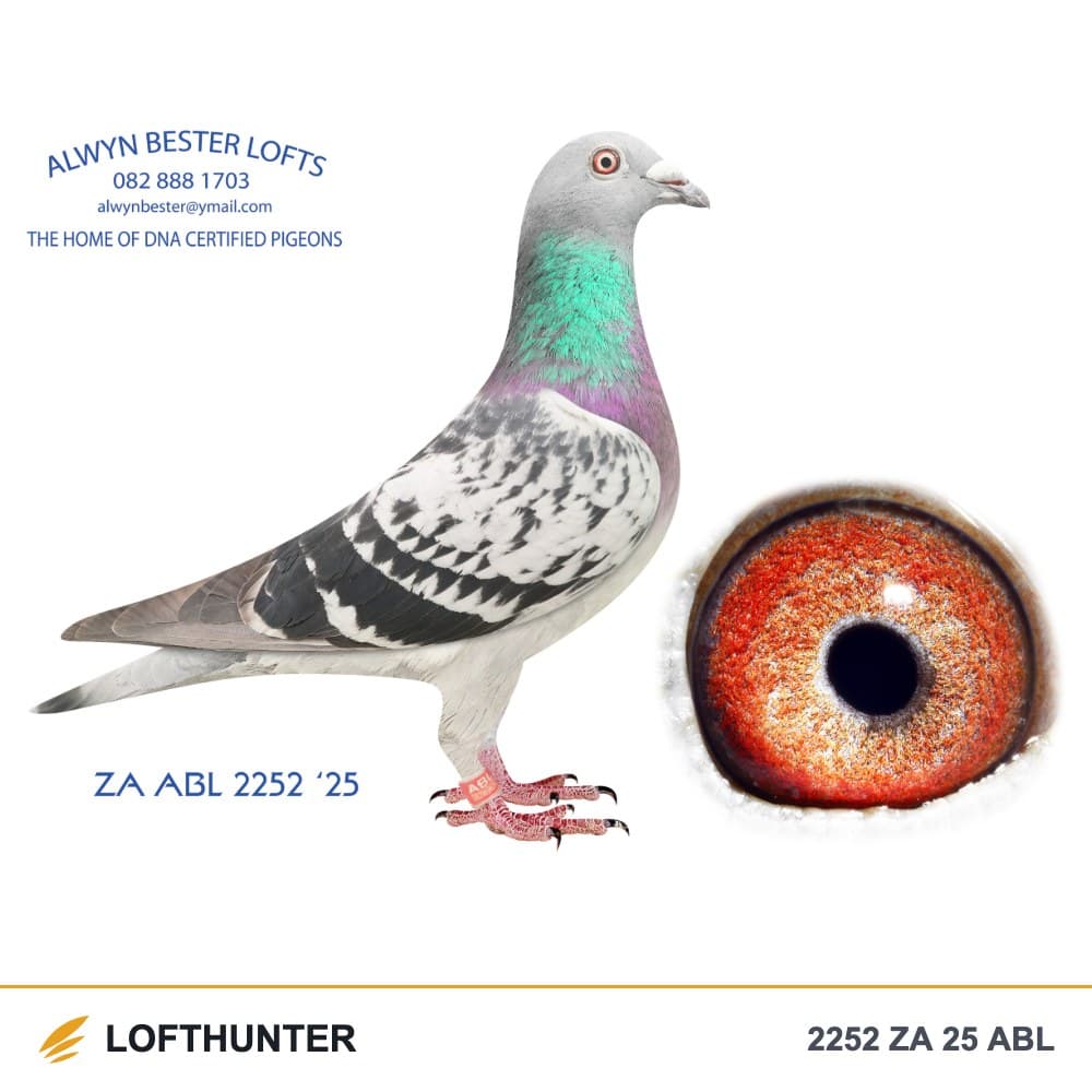 2252 ZA 25 ABL