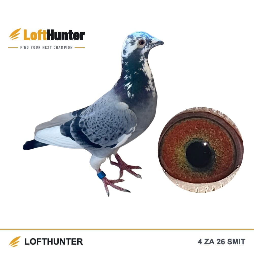 4 ZA 26 SMIT